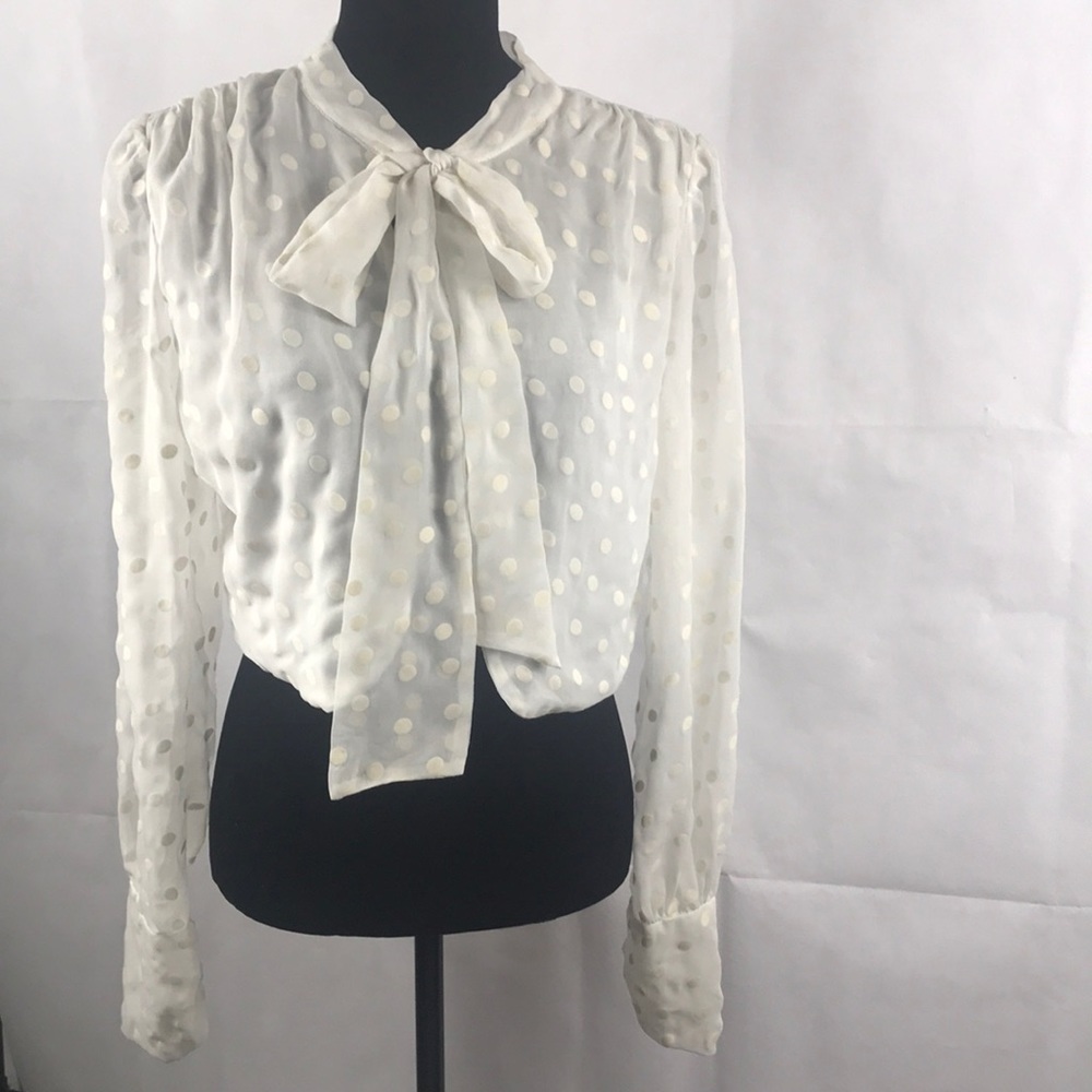 Open Bow Sheer polka dot Blouse